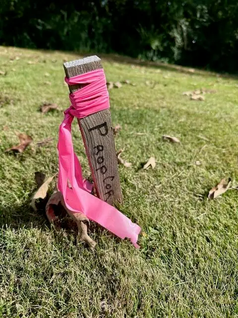 5700 Lyle Circle, Hixson, TN 37343 - Image #3