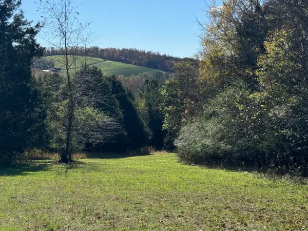 Lot 29 Goodfield Terrace, Decatur, TN 37322