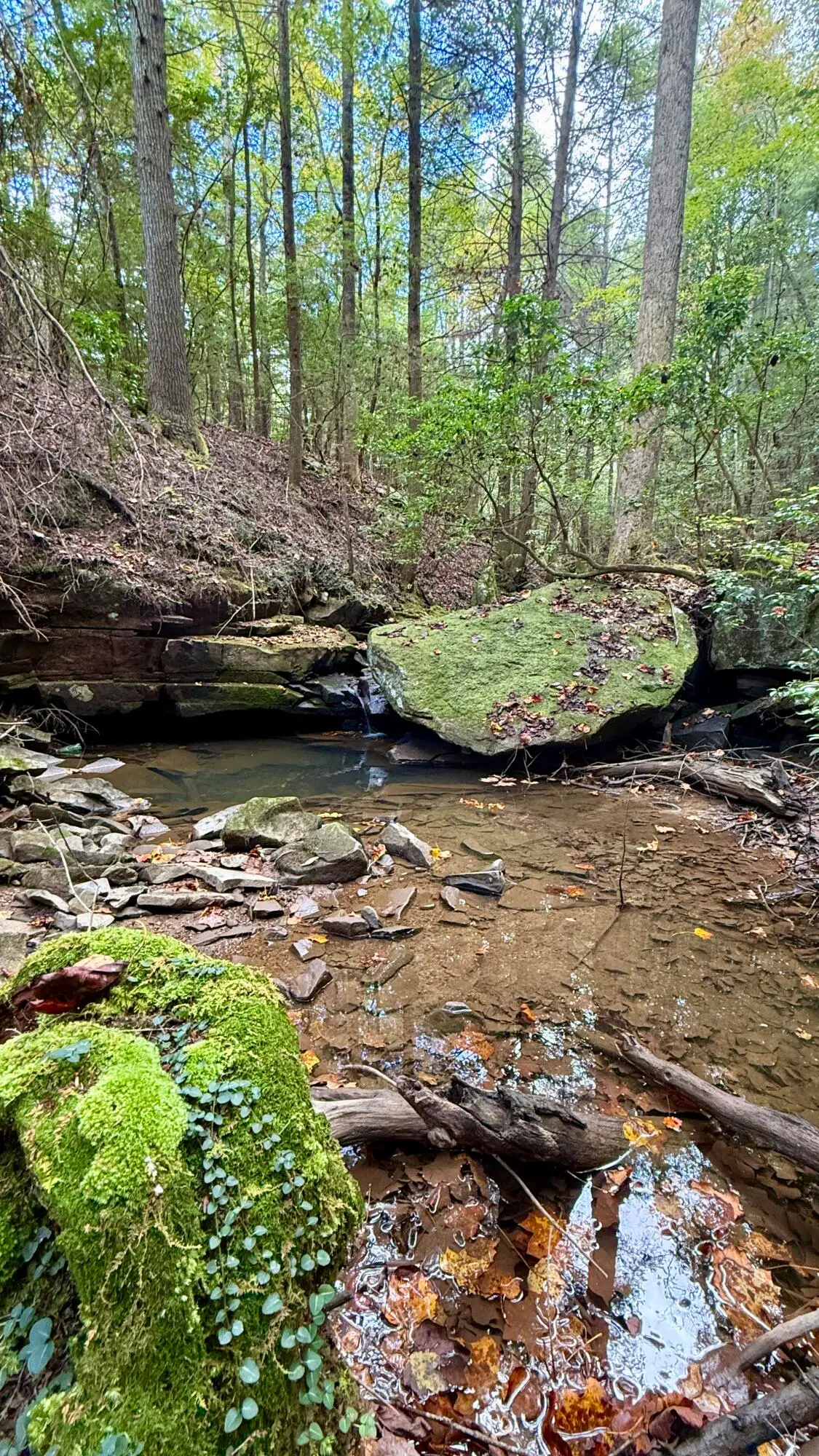 00 Braden Lane, Gruetli Laager, TN 37339 - Image #1