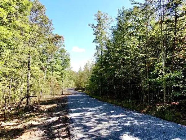 0 Owl Hollow Road #Lot 5, Palmer, TN 37365