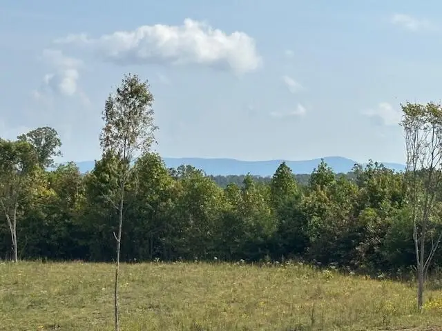 0 Otis Daivs Road, Pikeville, TN 37367 - Image #2