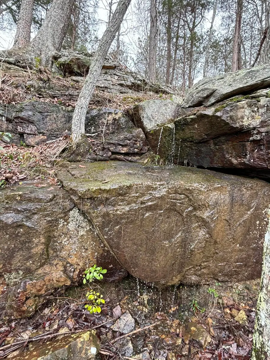 0 Raulston Falls Road #Jf28, Jasper, TN 37347 - Image #3