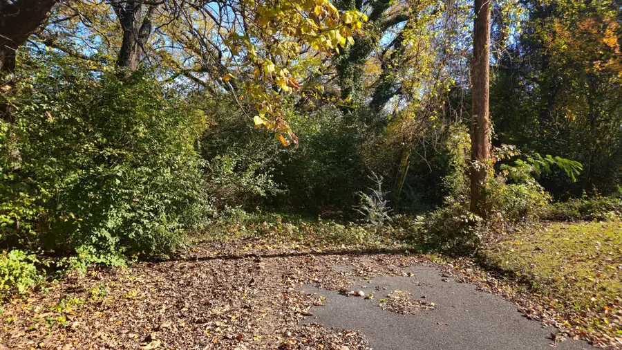 3168 Chickalilly Drive, Chattanooga, TN 37404 - Image #3