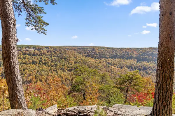 0 Crockett Pointe #Jf157, Jasper, TN 37347