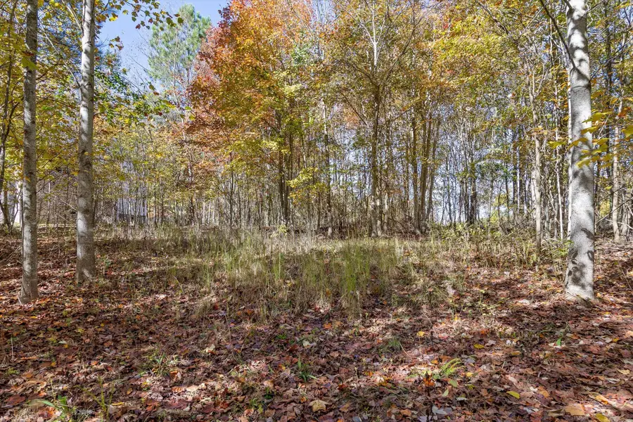 0 Crockett Pointe #290, Jasper, TN 37347 - Image #3