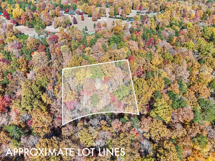 Lot 202 Deep Woods Drive #202, Dunlap, TN 37327 - Image #2