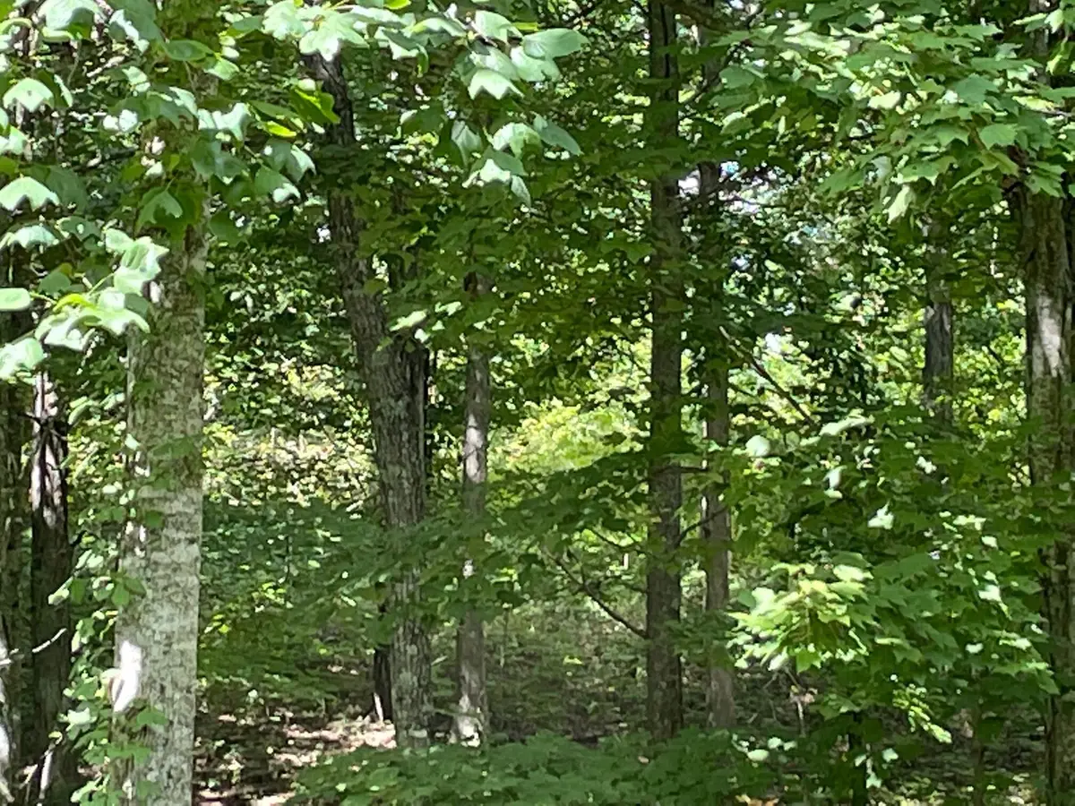0 Roaring Creek Road #296, Dunlap, TN 37327 - #1