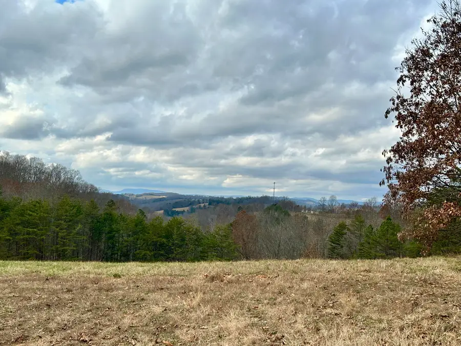 0 Topaz Lane, New Tazewell, TN 37825 - Image #2