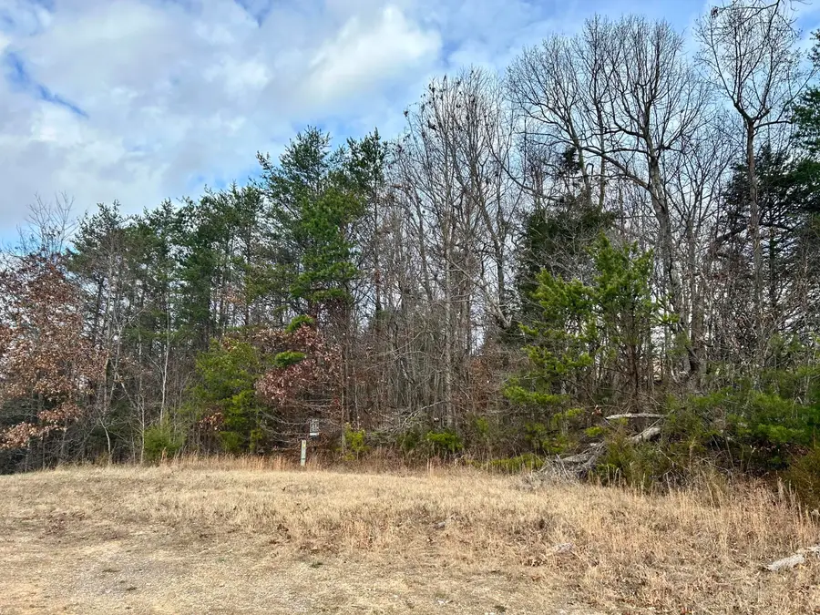 0 Topaz Lane, New Tazewell, TN 37825 - Image #3