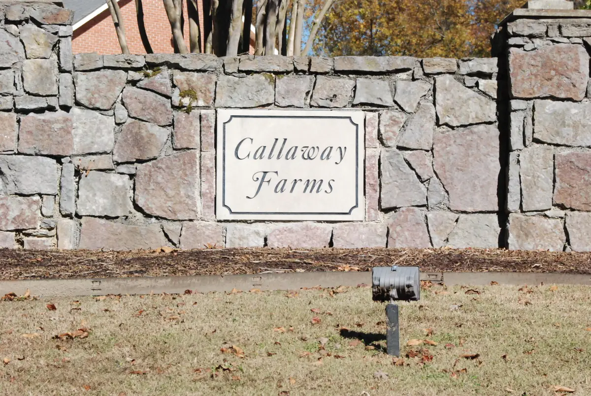 Lot 79 Morning Glory Drive, Ringgold, GA 30736 - #1