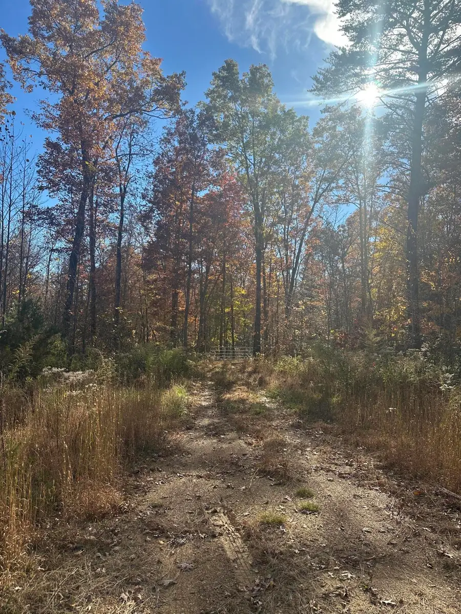 4982 Colony Road #Lot 6, Gruetli Laager, TN 37339 - Image #3