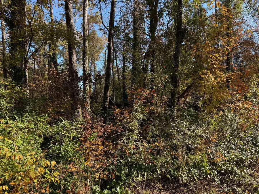 0 Apache Road, Jackson, GA 30233 - Image #3