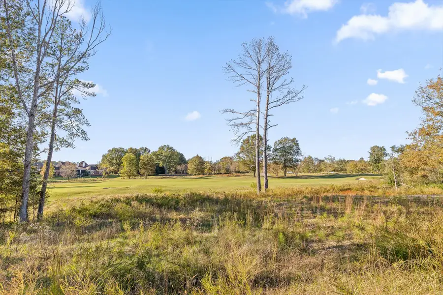 496 Council Creek Lane #Lot 14, Chattanooga, TN 37421 - Image #3