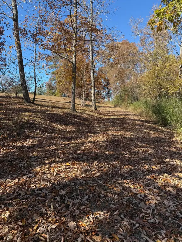 00 Scratch Ankle Road Road, Trenton, GA 30752