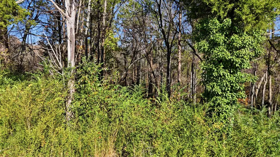 0 Sierra Drive, Dayton, TN 37321 - Image #2