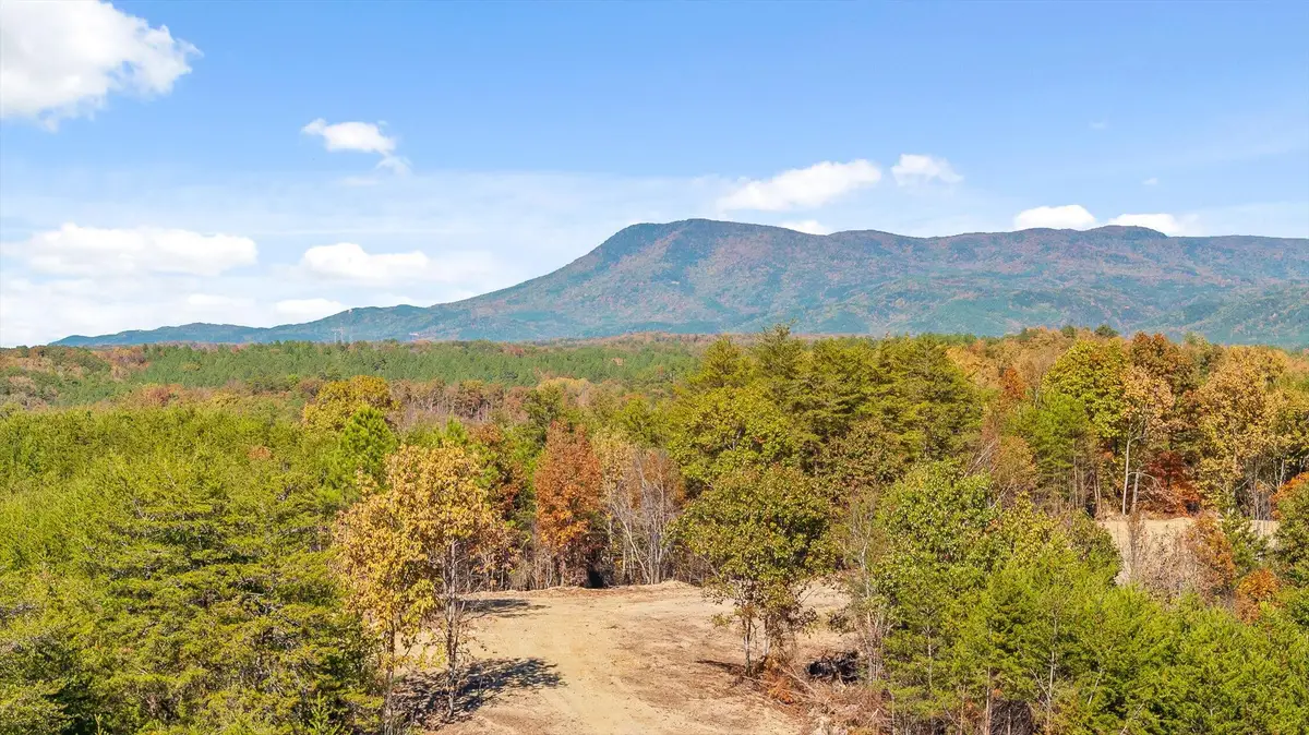 Tract 92 Conniston Road, Chatsworth, GA 30705 - Image #1