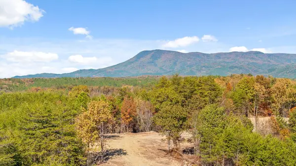 Tract 92 Conniston Road, Chatsworth, GA 30705