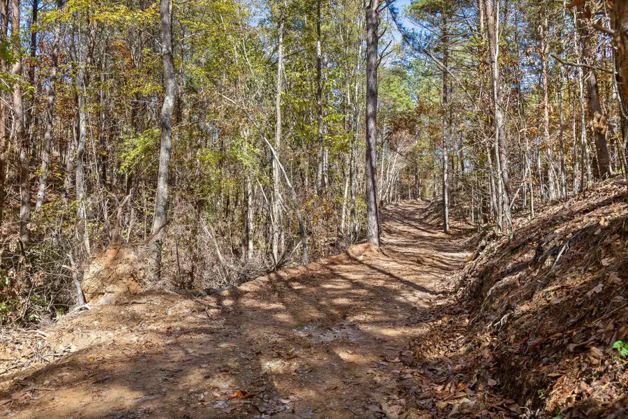 Tract 92 Conniston Road, Chatsworth, GA 30705 - Image #3
