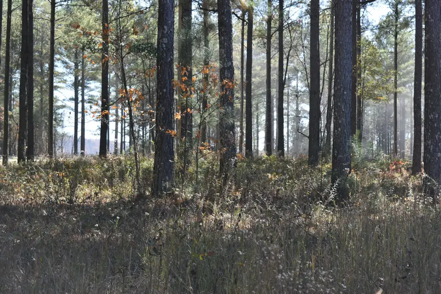 0 Split Rail Way, Lot 1131 Way, Guild, TN 37340 - Image #2