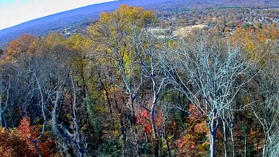 6499 Fairview Road, Hixson, TN 37343 - Image #3