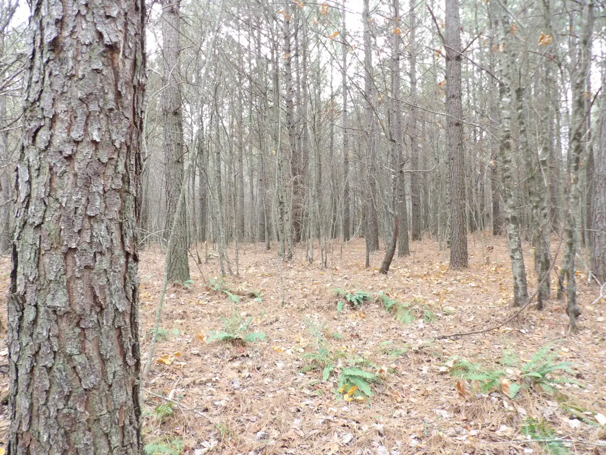 Lot 21 Summercity Road, Evensville, TN 37332 - Image #1