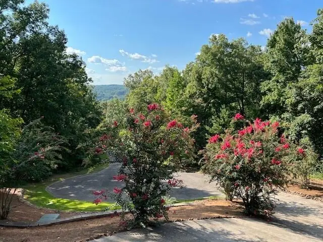 459 Hutcherson Drive, Rocky Face, GA 30740 - Image #3