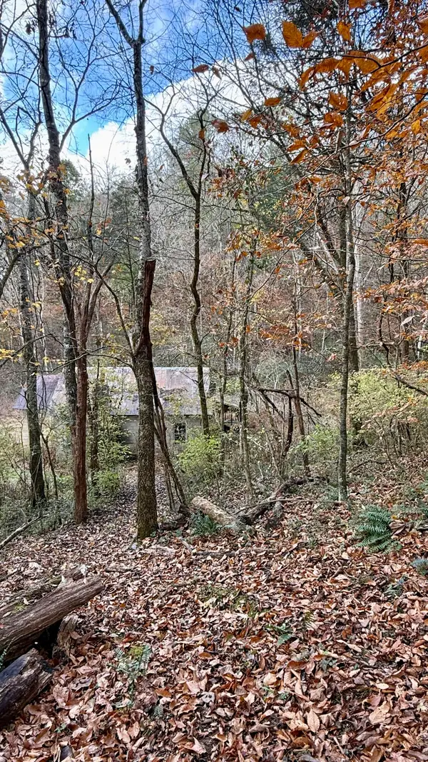 020 Sinking Cove Road, Sherwood, TN 37376