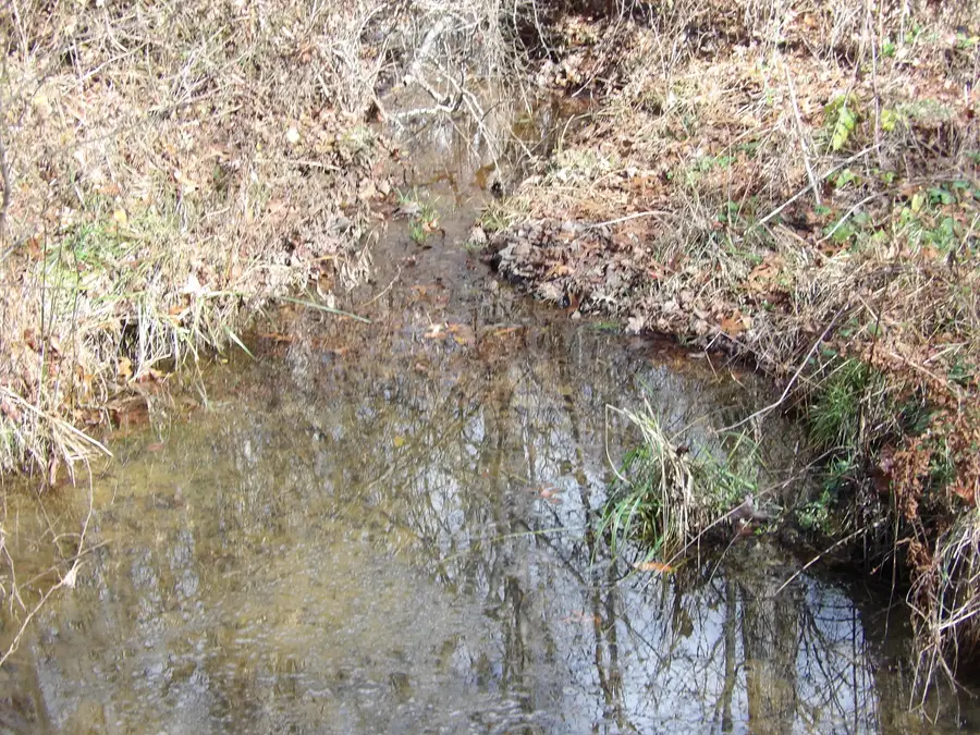 Lot 1 Cyrus Daniels Road, Evensville, TN 37332 - Image #2