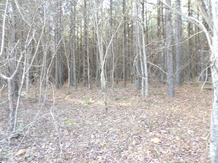 Lot 22 Summercity Road, Evensville, TN 37332 - Image #3