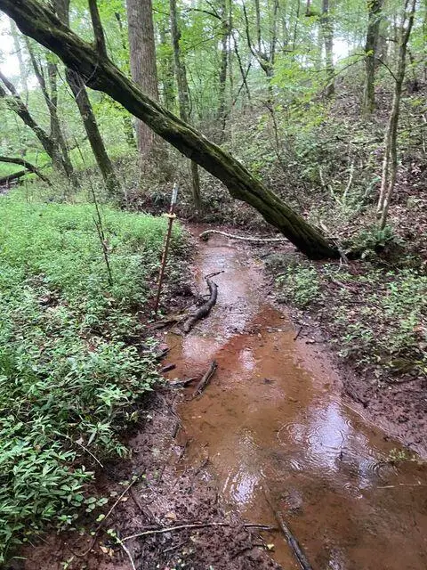 409 County Road 675, Riceville, TN 37370 - Image #3