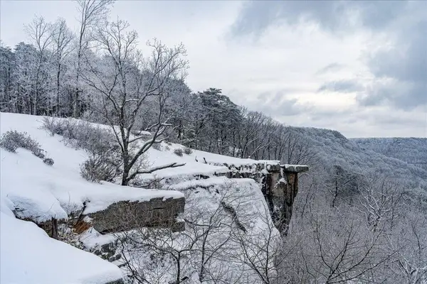 110 Falls Lane, Spencer, TN 38585