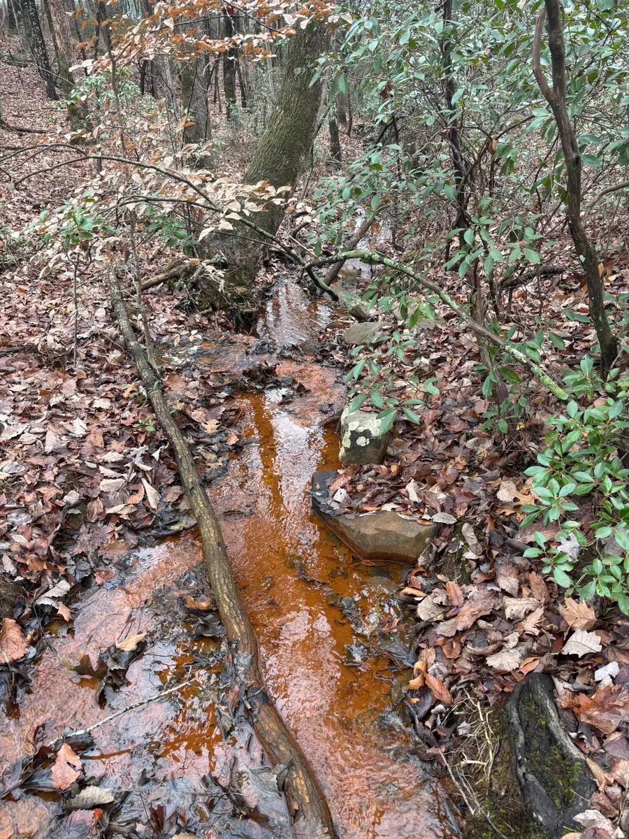 3699 Crockett Pointe, Jasper, TN 37347 - Image #3