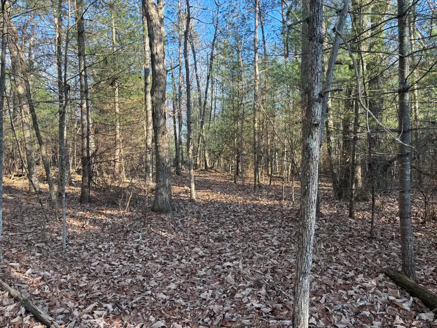 776 Lou Road, Pikeville, TN 37367 - Image #3