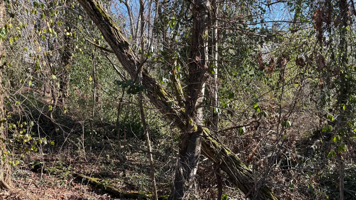 0 Skyline Park Drive, Signal Mountain, TN 37377 - Image #1