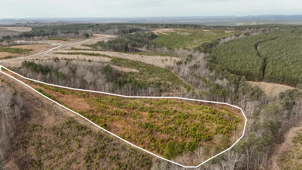 0 State Rt 399 Lot 13, Dunlap, TN 37327 - Image #1