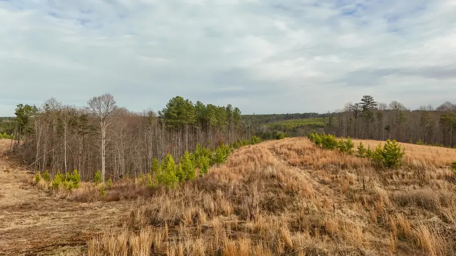 0 State Rt 399 Lot 13, Dunlap, TN 37327 - Image #2