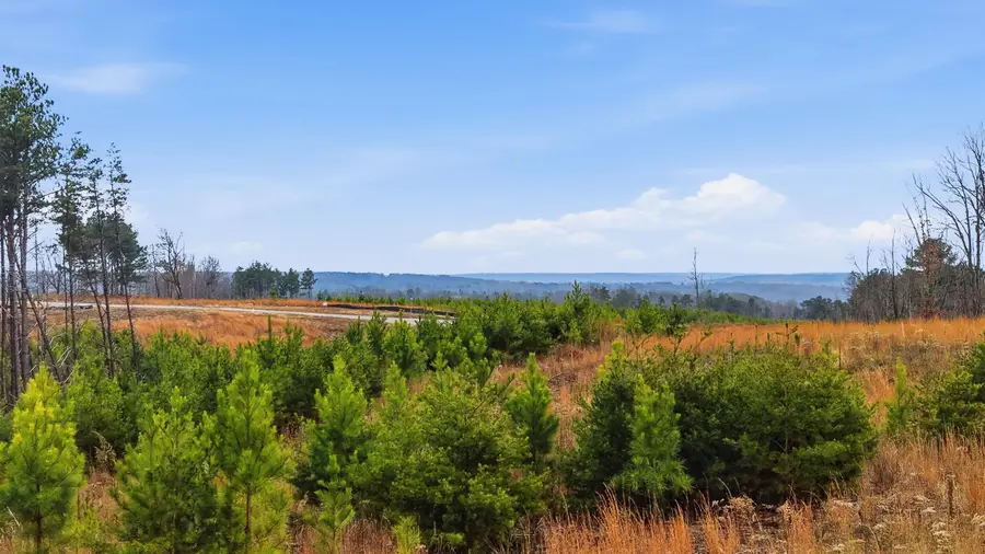 Lot 6 Longview Ridge, Dunlap, TN 37327 - Image #3