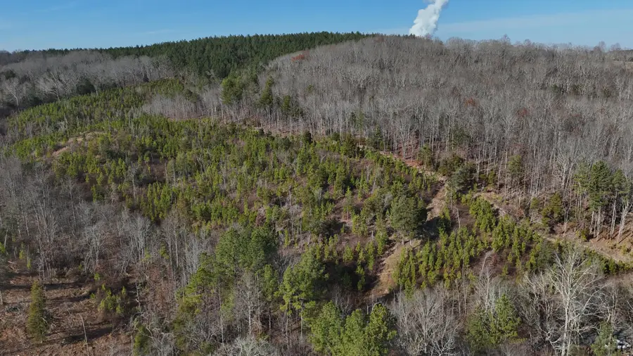 00 Big Sewee Lot 5, Decatur, TN 37322 - Image #2