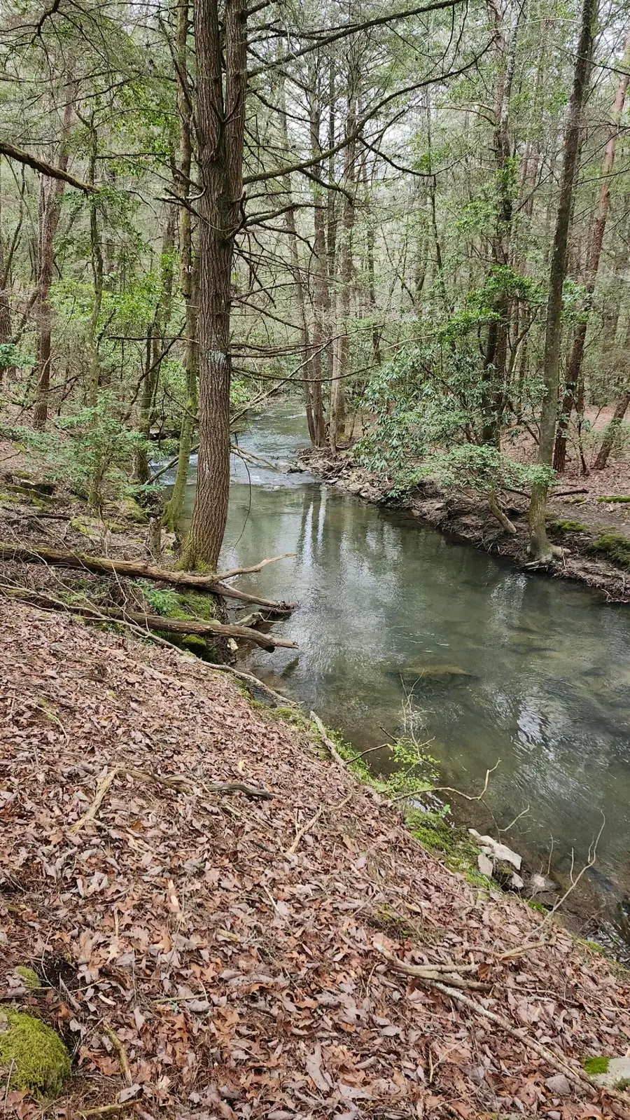 Lots 1,2,3 Old Holywater Rd - E Of Scott Creek, Tracy City, TN 37387 - Image #3