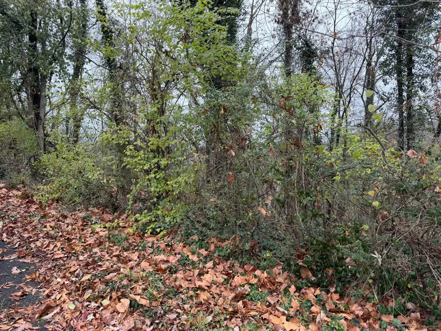 3991 Knollwood Terrace, Chattanooga, TN 37415 - Image #2