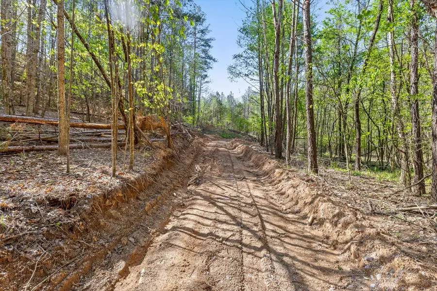 Tract 1 Hwy 411 Road S, Chatsworth, GA 30705 - Image #3