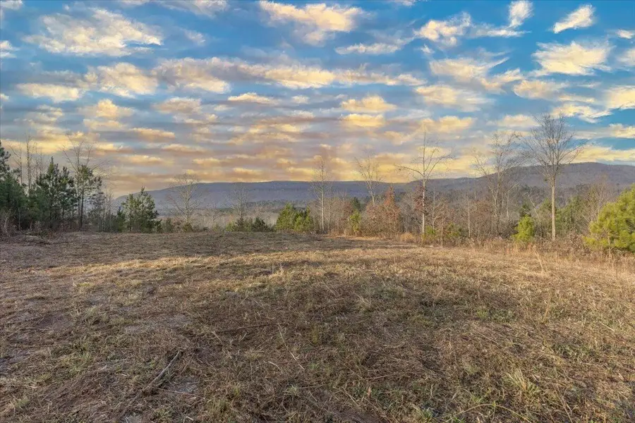 3400 Bronco Road, La Fayette, GA 30728 - Image #2