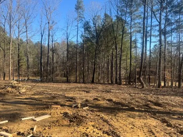 1424 Sugar Creek Road, Crandall, GA 30711 - #3