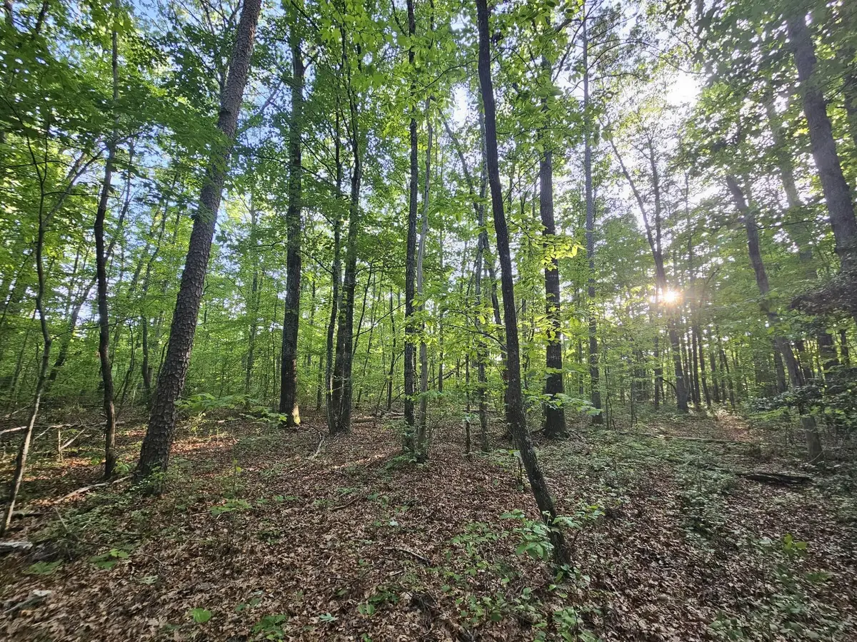 3 Savage Highland Drive #Sw1e, Coalmont, TN 37313 - Image #1