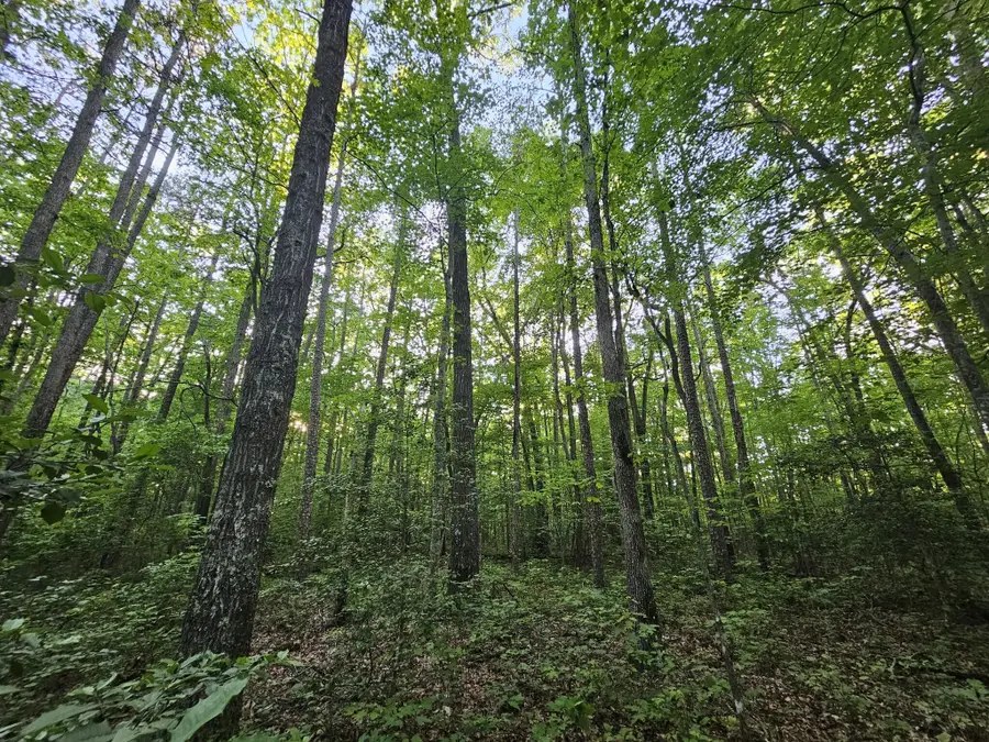 3 Savage Highland Drive #Sw1e, Coalmont, TN 37313 - Image #2