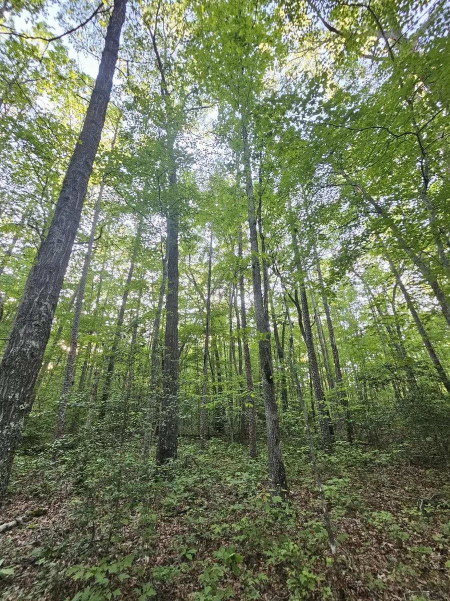 3 Savage Highland Drive #Sw1e, Coalmont, TN 37313 - Image #3