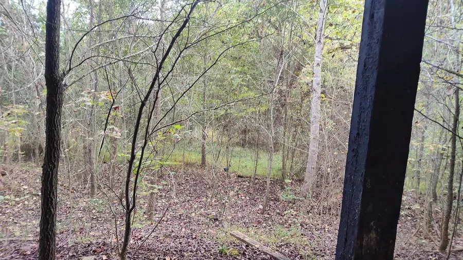 691 Summertown (4.61 Acres) Road #Tract 3, Jasper, TN 37347 - Image #3