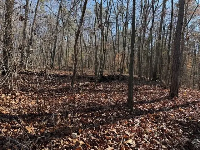 Lot 2 County Road 751 #Lot 2, Valley Head, AL 35989 - #1