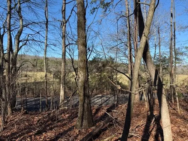 Lot 2 County Road 751 #Lot 2, Valley Head, AL 35989 - #2