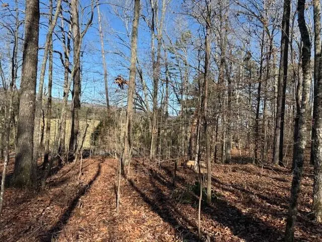 Lot 2 County Road 751 #Lot 2, Valley Head, AL 35989 - #3